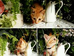 -广州迷途主题旅馆(海珠广场店)