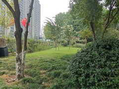 -大关公园