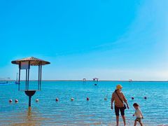 -碧海金沙