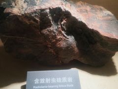 -安徽省地质博物馆