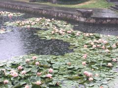 -杭州城北体育公园