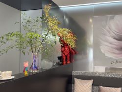 -三只熊皮肤管理中心旗舰店