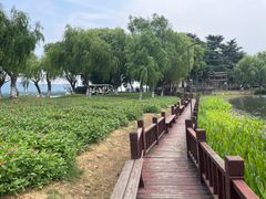 -尚湖风景区