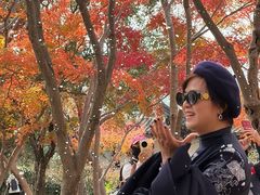 -秋霞圃