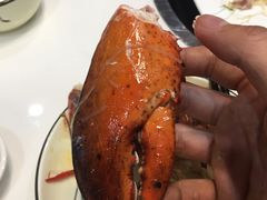 清蒸龙虾-鑫悦楼煎蟹·16年海鲜大排档