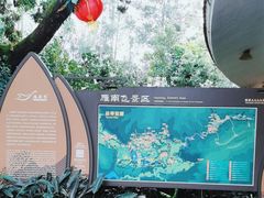 -雁南飞茶田景区