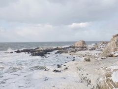 -养马岛旅游度假区