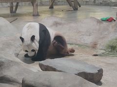 -栾川竹海野生动物园