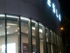 -TESLA 特斯拉(广州天环广场体验店)