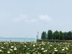 -苏州东太湖生态园