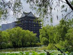 -长兴太湖图影湿地文化园