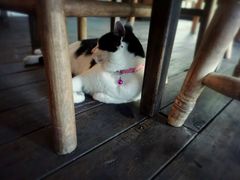 -BUND·FIVE外滩5号(天际店)