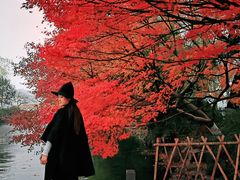 -西湖外事游船(花港观鱼码头)