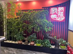 -洞庭家宴·头牌甲鱼(广渠门店)