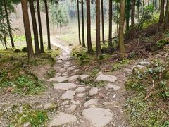 -龙窝子