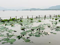 -湖畔居茶楼(湖滨店)