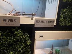 -打趸BTC·Breaktime cafe(北京路店)