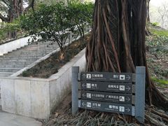 -广州雕塑公园