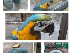 -济南野生动物世界