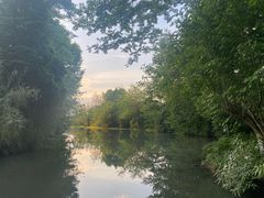 -桤木河湿地公园