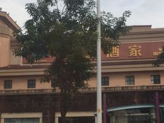 -宝园酒家(美林M·LIVE天地东座店)