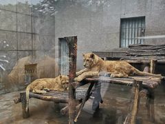 -西安秦岭野生动物园