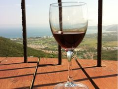 -三亚亚龙湾人间天堂鸟巢度假村