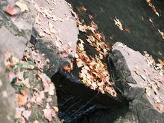 -虎跑公园
