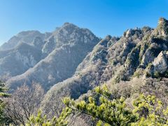 -王顺山国家森林公园