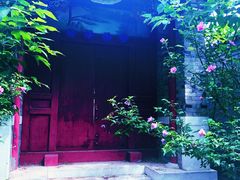 -阳台山自然风景区