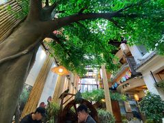 -大理董·董家小厨野生菌火锅(古城旗舰店)