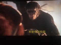 -CGV星星影城(颐堤港ScreenX店)