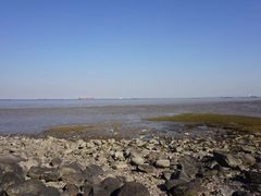 -吴淞炮台湾湿地森林公园烧烤区