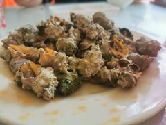 -蚝乡农庄(铁涌赤岸店)