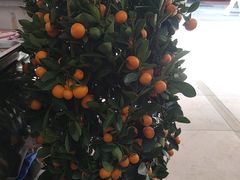 -鑫鸿达·海鲜闽菜热炒小馆(中山路店)