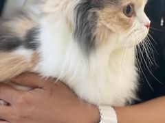 -comecome来吧宠物(奥克斯中心店)