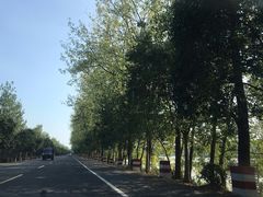 -陈小五小吃部