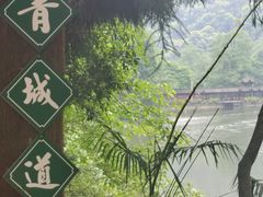 -青城山