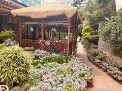 -山菌美食苑(振兴路店)