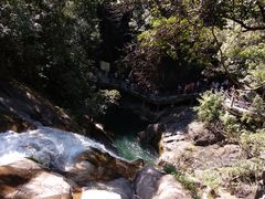 景点-九龙江国家森林公园