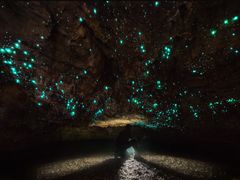 -怀托摩萤火虫洞