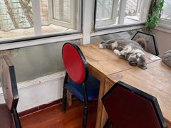 -猫小院猫主题咖啡厅(北锣店)