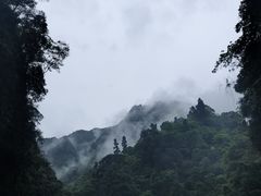 -峨眉山风景名胜区