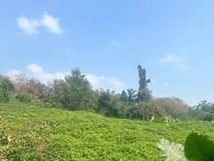 -海南热带野生动植物园