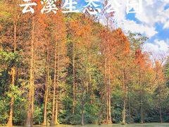 -云溪植物园