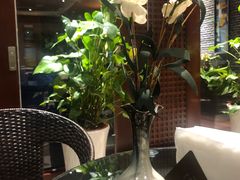 -康悦印象·美容·茶艺·国际芳香疗法(海悦店)