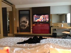 -青岛富力艾美酒店