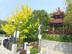 -大连植物园