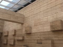 -盘龙城国家考古遗址公园