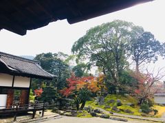 -醍醐寺